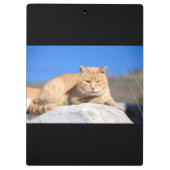 Lazy cat klembord (Achterkant)