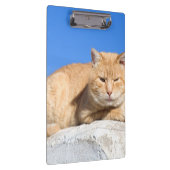 Lazy cat klembord (Rechts)