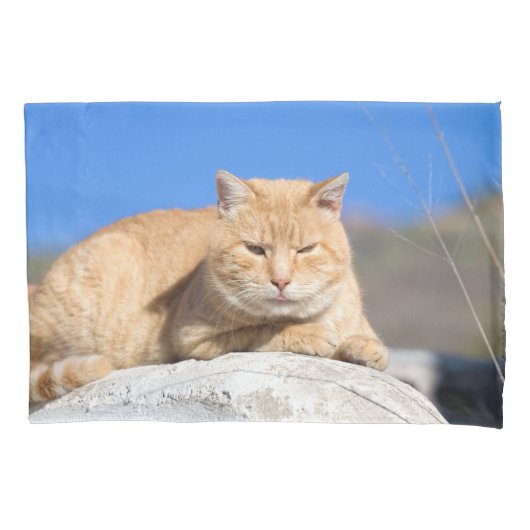Lazy cat kussensloop (Voorkant)