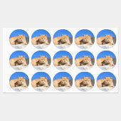 Lazy cat labels (Vel)