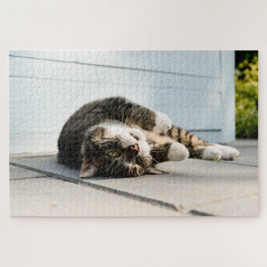 Lazy Cat Lounging op Porch Legpuzzel (Horizontaal)