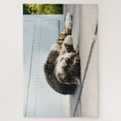 Lazy Cat Lounging op Porch Legpuzzel (Verticaal)