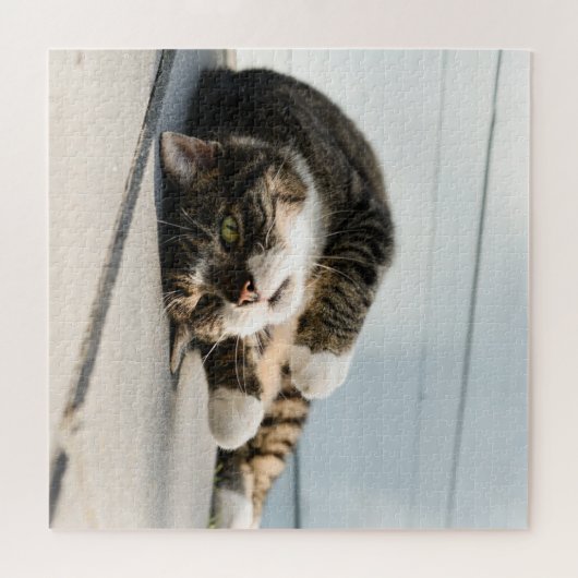 Lazy Cat Lounging op Porch Legpuzzel (Horizontaal)