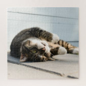 Lazy Cat Lounging op Porch Legpuzzel (Verticaal)