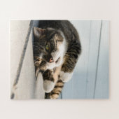 Lazy Cat Lounging op Porch Legpuzzel (Horizontaal)