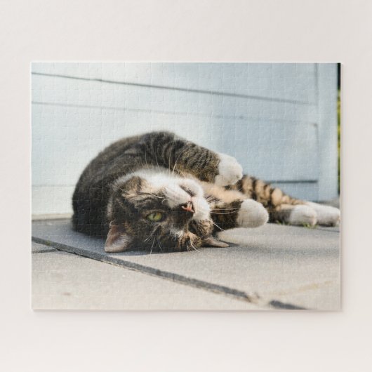 Lazy Cat Lounging op Porch Legpuzzel (Horizontaal)