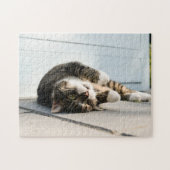 Lazy Cat Lounging op Porch Legpuzzel (Horizontaal)