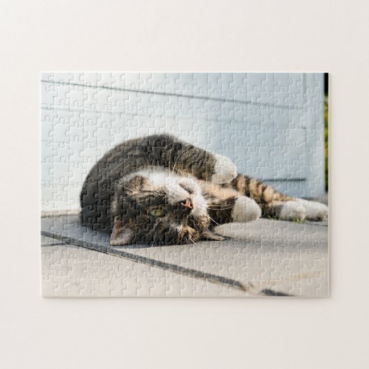Lazy Cat Lounging op Porch Legpuzzel (Horizontaal)