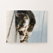Lazy Cat Lounging op Porch Legpuzzel (Horizontaal)