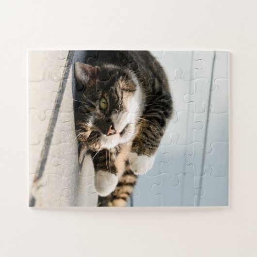 Lazy Cat Lounging op Porch Legpuzzel (Horizontaal)