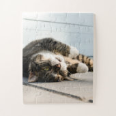 Lazy Cat Lounging op Porch Legpuzzel (Verticaal)