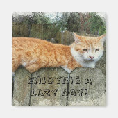 Lazy Cat Magneet (Voorkant)