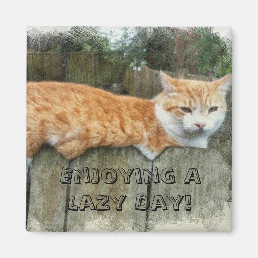 Lazy Cat Magneet (Voorkant)