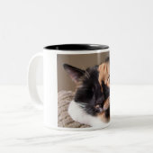 Lazy Cat Mok (Voorkant links)