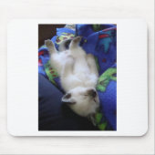 Lazy Cat Muismat (Voorkant)