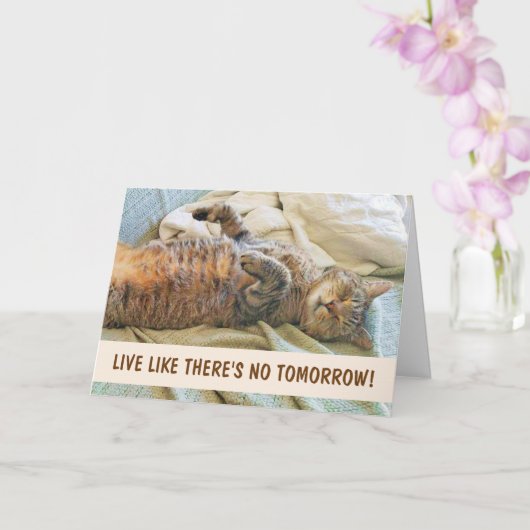 Lazy Cat Philosophy Birthday Kaart (Orchidee)