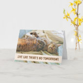 Lazy Cat Philosophy Birthday Kaart (Gele Bloem)