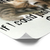 Lazy Cat Poster (Hoek)