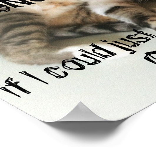 Lazy Cat Poster (Hoek)