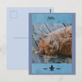 Lazy Cat Say's Hallo Briefkaart (Voorkant / Achterkant)