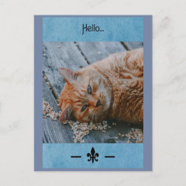 Lazy Cat Say's Hallo Briefkaart