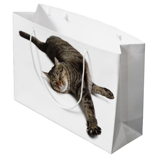 Lazy Cat Stretching Groot Cadeauzakje (Achterkant Gekanteld)