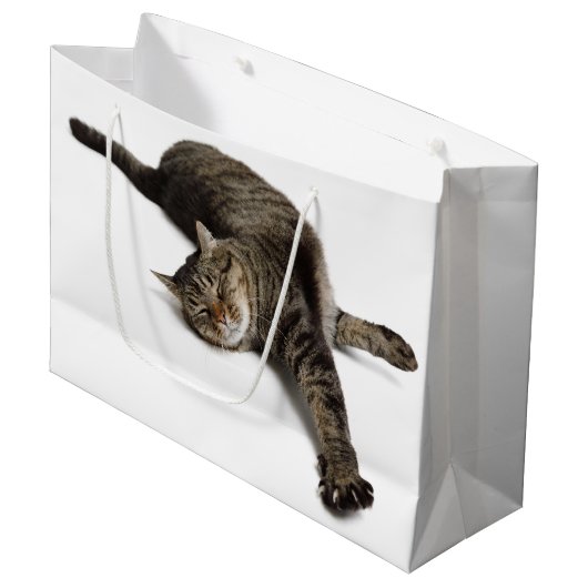 Lazy Cat Stretching Groot Cadeauzakje (Voorkant Gekanteld)