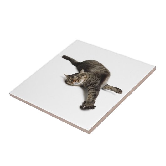 Lazy Cat Stretching Tegeltje (Zijkant)