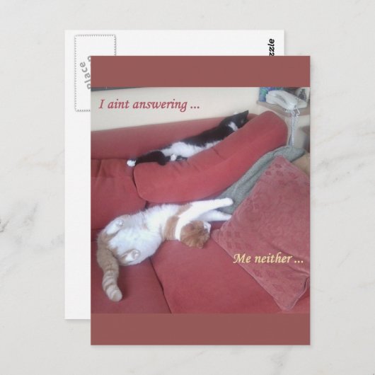 Lazy Cats Fun Briefkaart - Catnap (Voorkant / Achterkant)