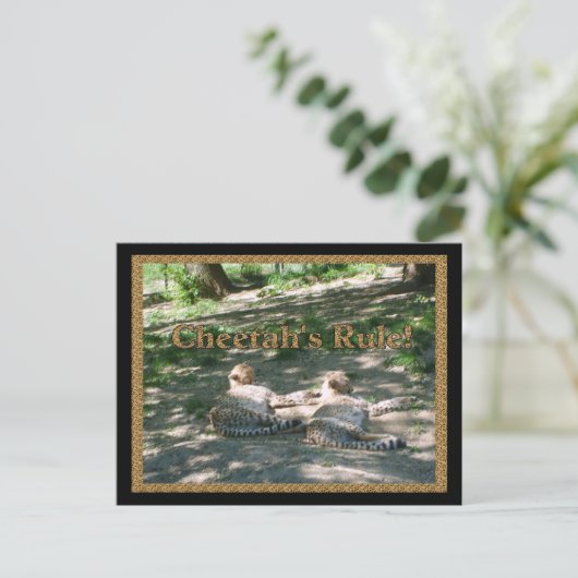 Lazy Cheetahs Briefkaart (Staand voorkant)