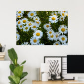 Lazy Daisy Aftermiddag Poster (Thuiskantoor)