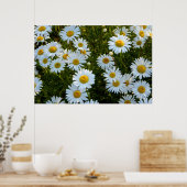 Lazy Daisy Aftermiddag Poster (Keuken)