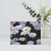Lazy Daisy Briefkaart (Staand voorkant)