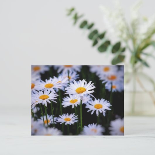 Lazy Daisy Briefkaart (Staand voorkant)