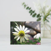 Lazy Daisy Summer Day Briefkaart (Staand voorkant)