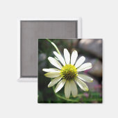 Lazy Daisy Summer Day Magnet (Voorkant / Achterkant)