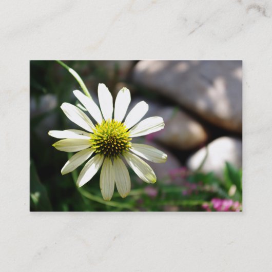 Lazy Daisy Summer Day Mini Print Visitekaartje (Voorkant)