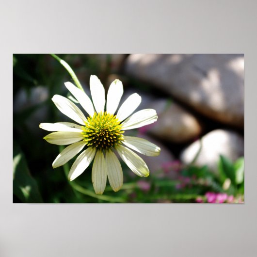 Lazy Daisy Summer Day Print (Voorkant)
