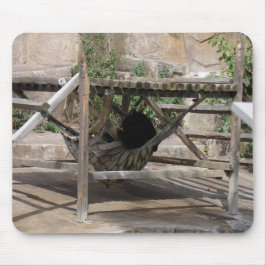 lazy day for a bear muismat