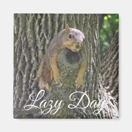 Lazy Day Grappige Eekhoorn slapen in Boom Magneet