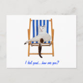 Lazy Day's Briefkaart (Voorkant)