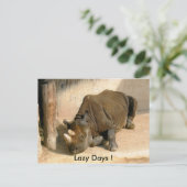 Lazy Days! Briefkaart (Staand voorkant)