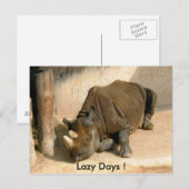 Lazy Days! Briefkaart (Voorkant / Achterkant)