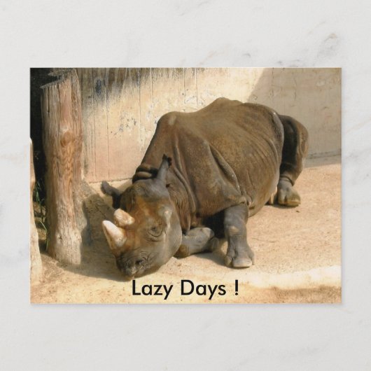 Lazy Days! Briefkaart (Voorkant)