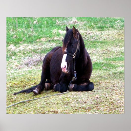 Lazy Days Canvas Poster (Voorkant)