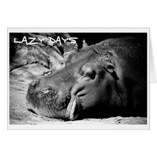 Lazy Days Card