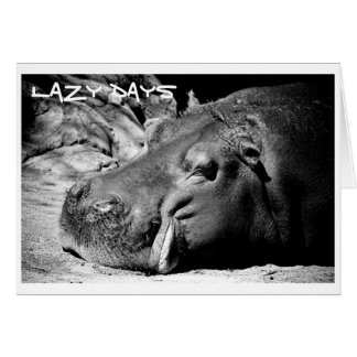 Lazy Days Card