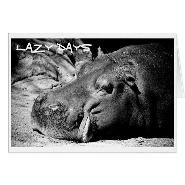 Lazy Days Card (Voorkant Horizontaal)