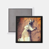 Lazy Days Kangaroo Magnet (Voorkant / Achterkant)