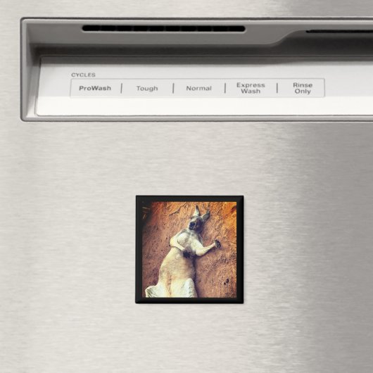 Lazy Days Kangaroo Magnet (Insitu (Vaatwasser))